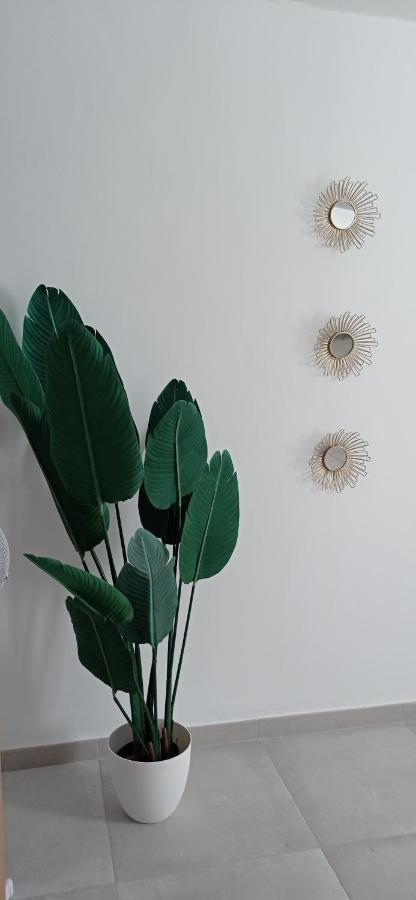 Apartamento Casco Histórico Con ático. Apartamento Sevilla