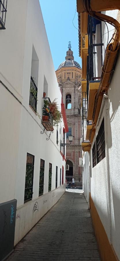 Apartamento Casco Histórico Con ático. Apartamento *