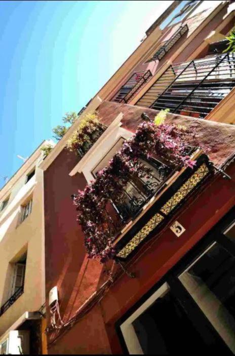 Typical Sevillan 2 Bedroom Unit Seville