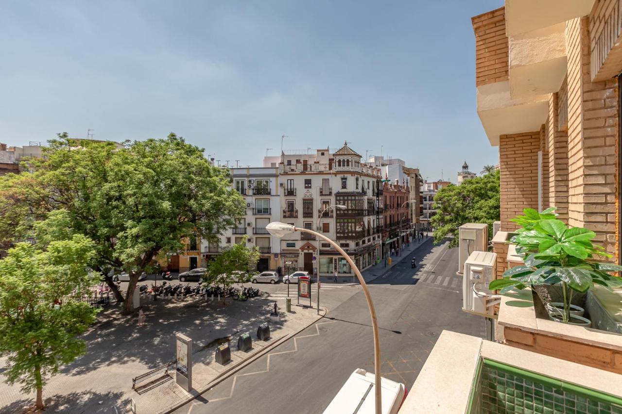 Avanti Luz De Sevilla, Hazte Un Regalo Y Disfrutalo * Seville