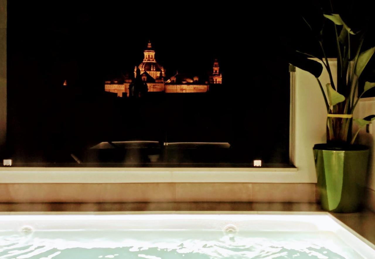 Apartment Luxury Penthouse With Private Pool Setas Monument *