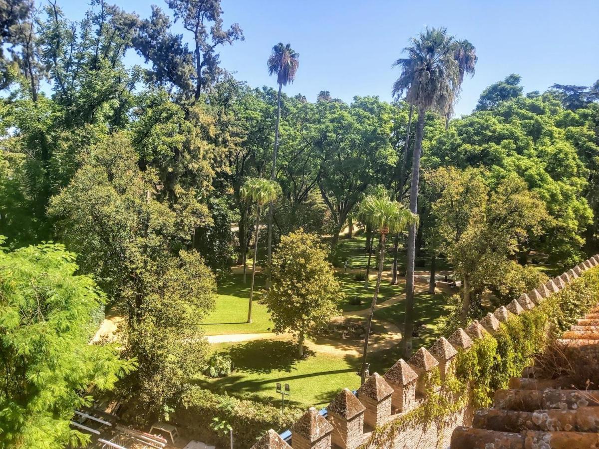 La Casa De San Fernando Con Vistas A Reales Alcázares * Sevilla