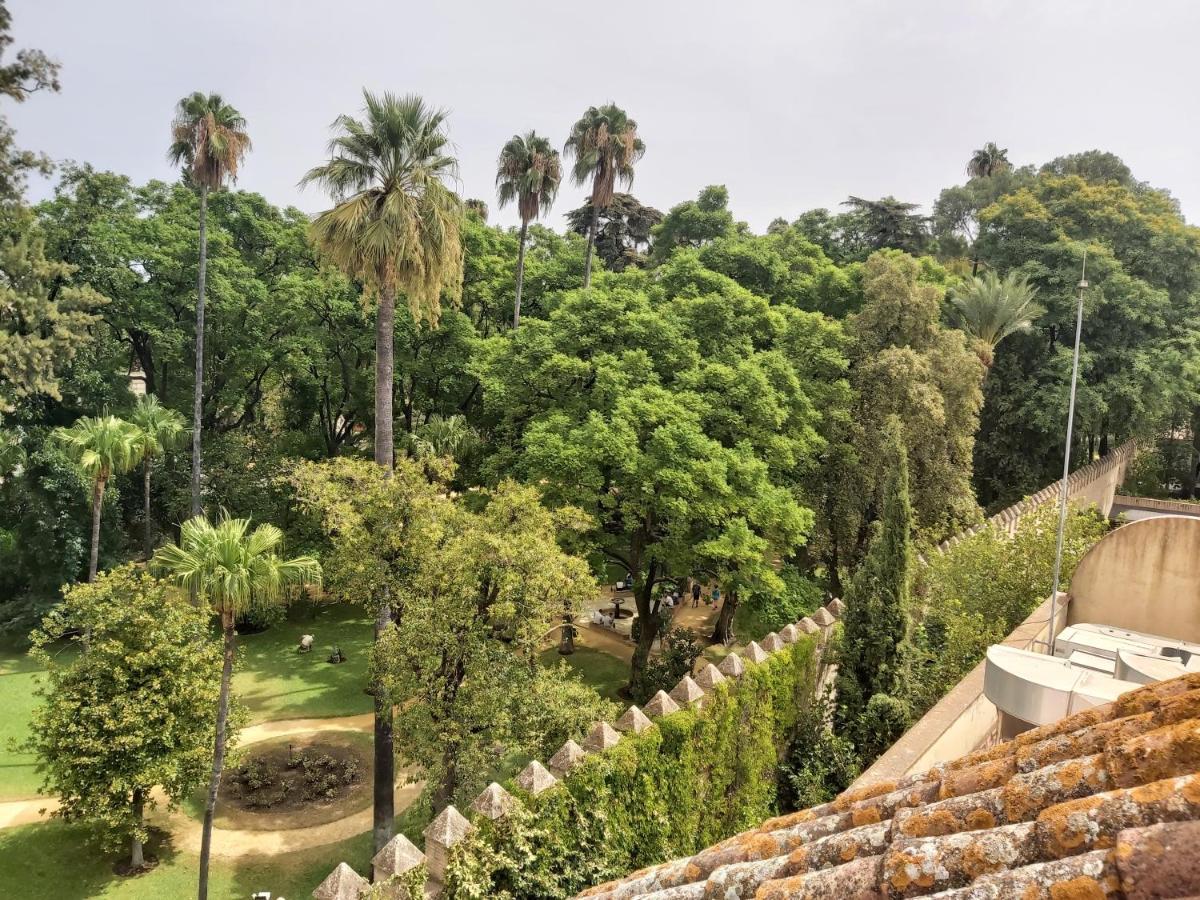 La Casa De San Fernando Con Vistas A Reales Alcázares Apartamento Sevilla