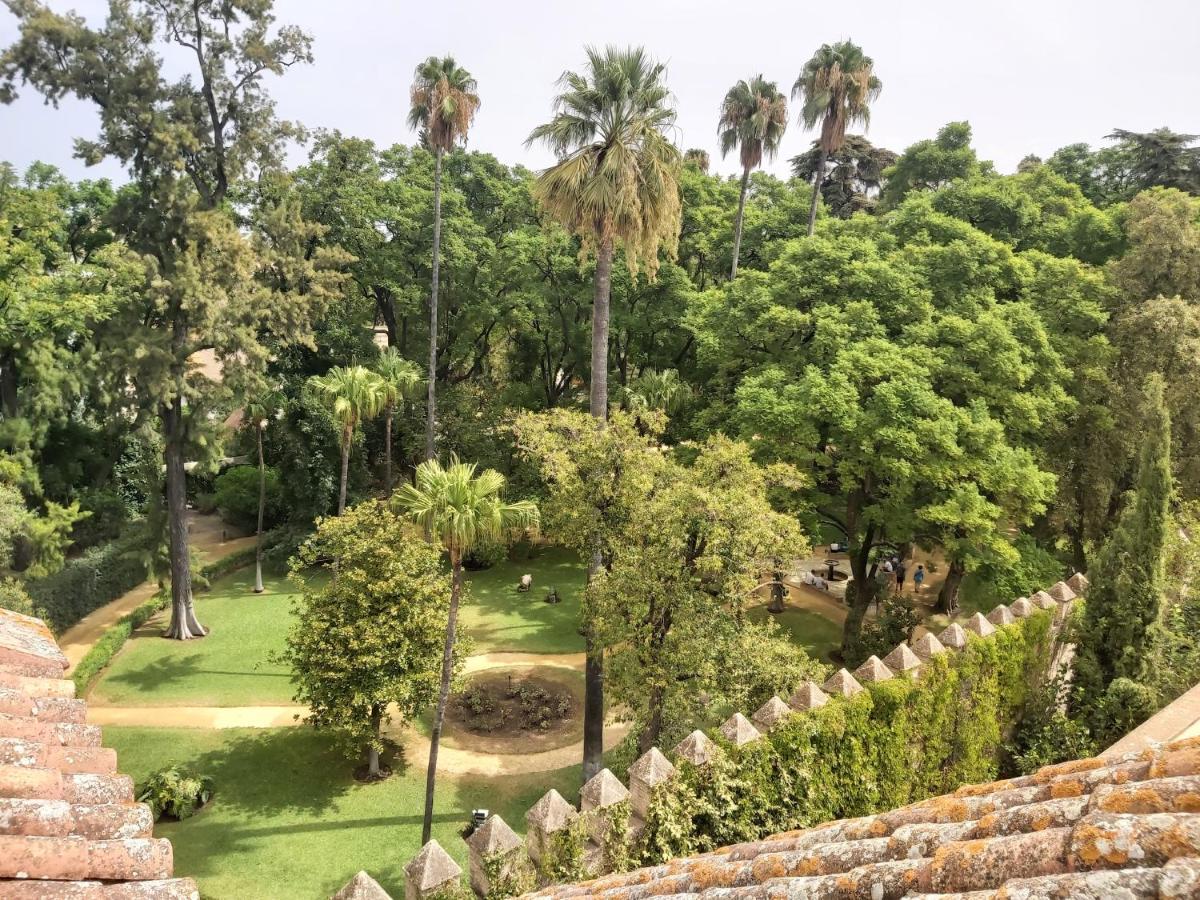 Apartment La Casa De San Fernando Con Vistas A Reales Alcazares Seville