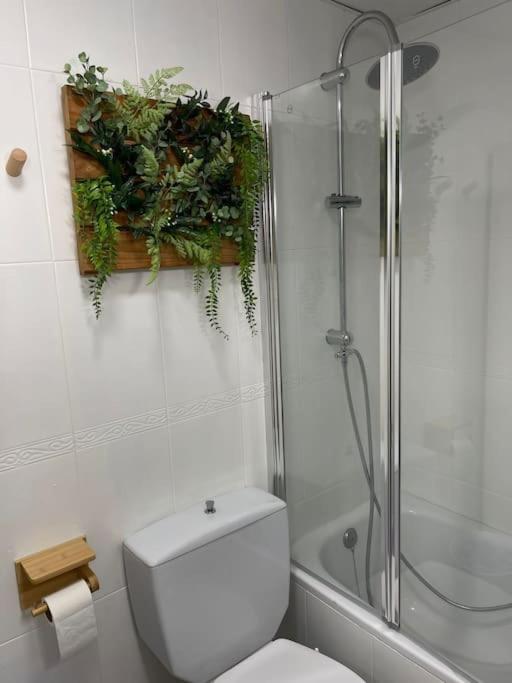 Apartment Oasis