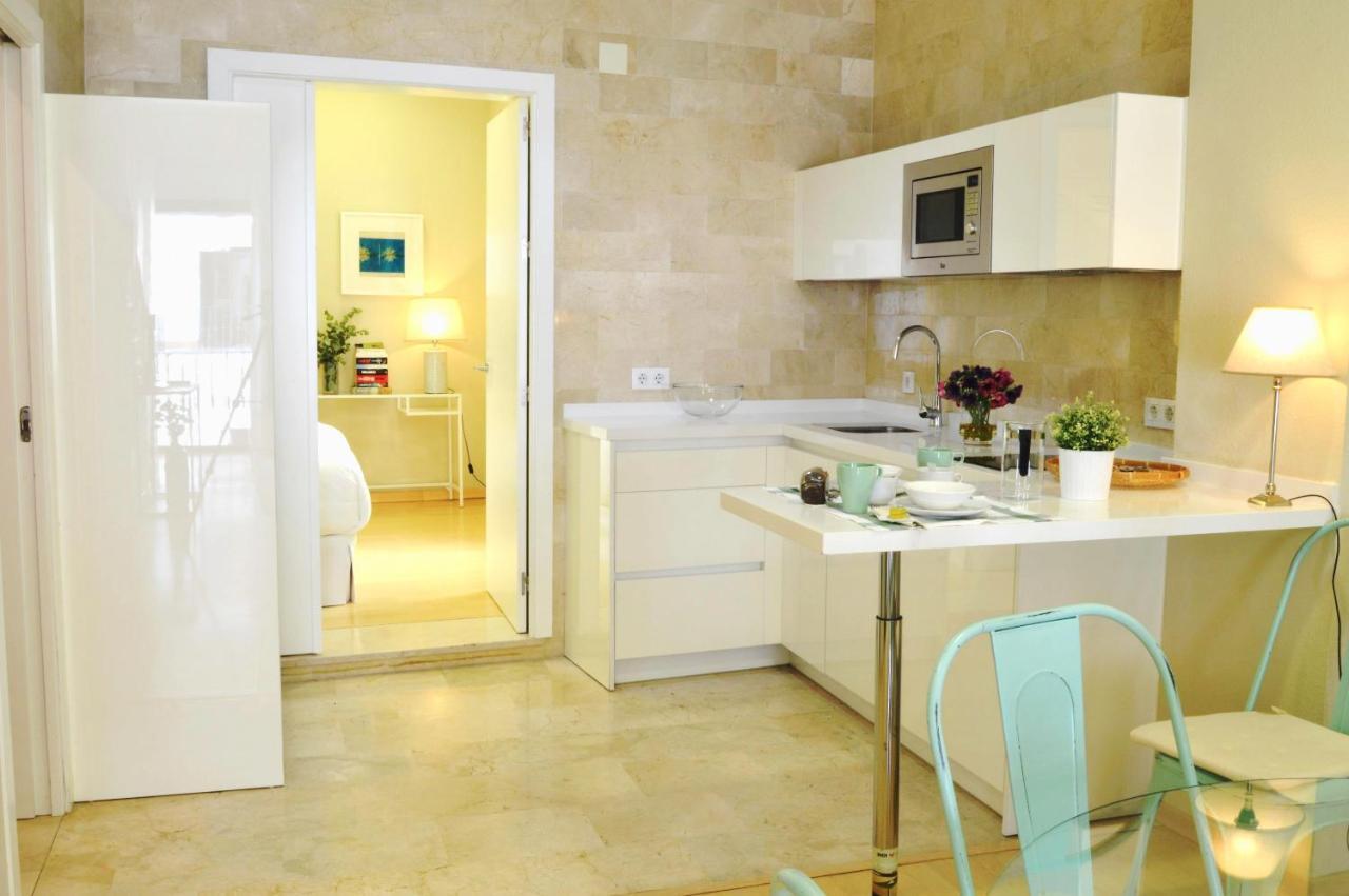 Homeyseville-penthouse Cathedral Tomas De Ibarra St 6 Pax, Parking Optional Apartment Seville