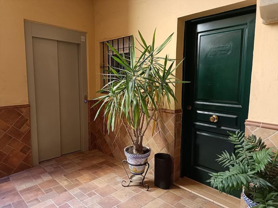 Triana Apartment
