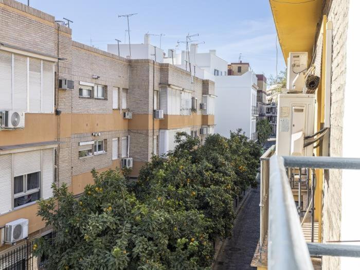 Apartment Pureza Dreams De Oasis En Triana Seville