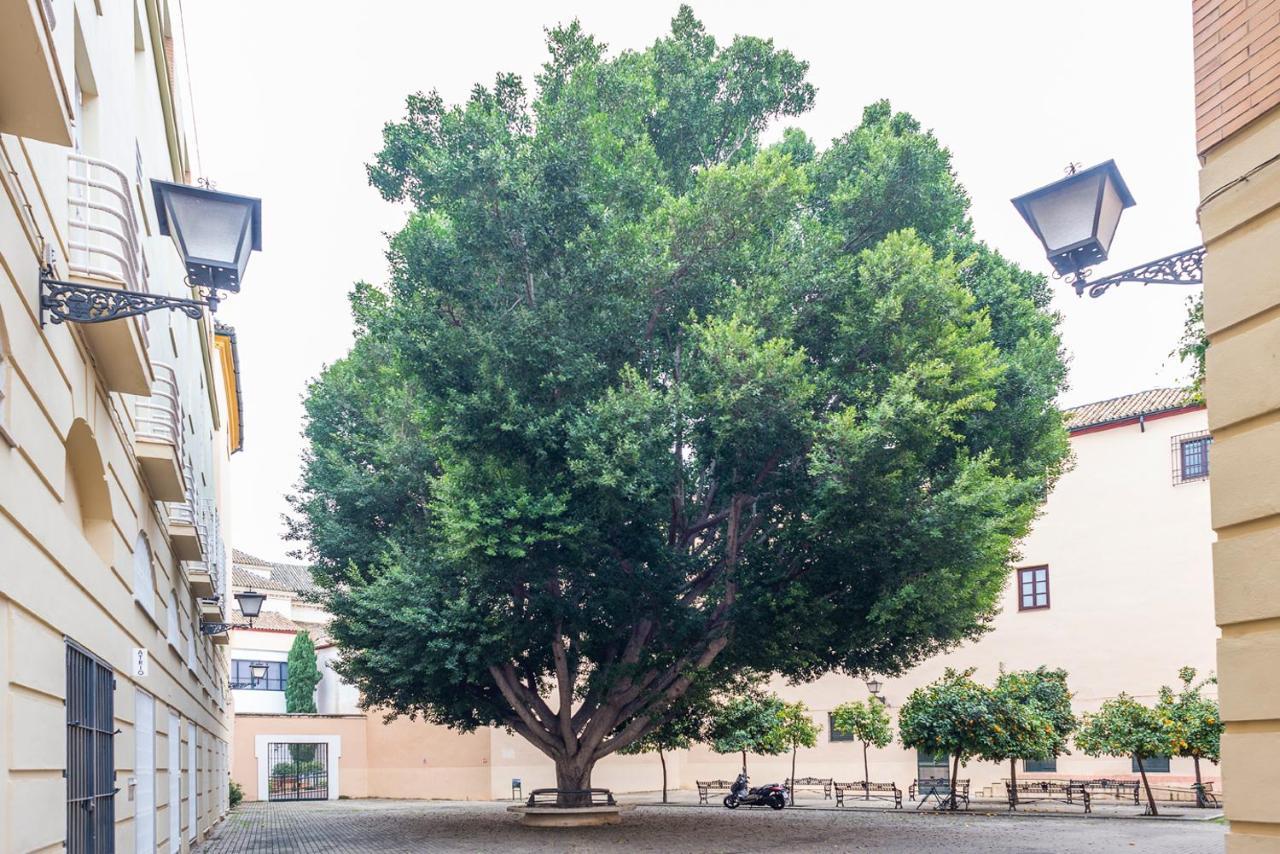 Alohamundi Escuelas Pias Apartamento