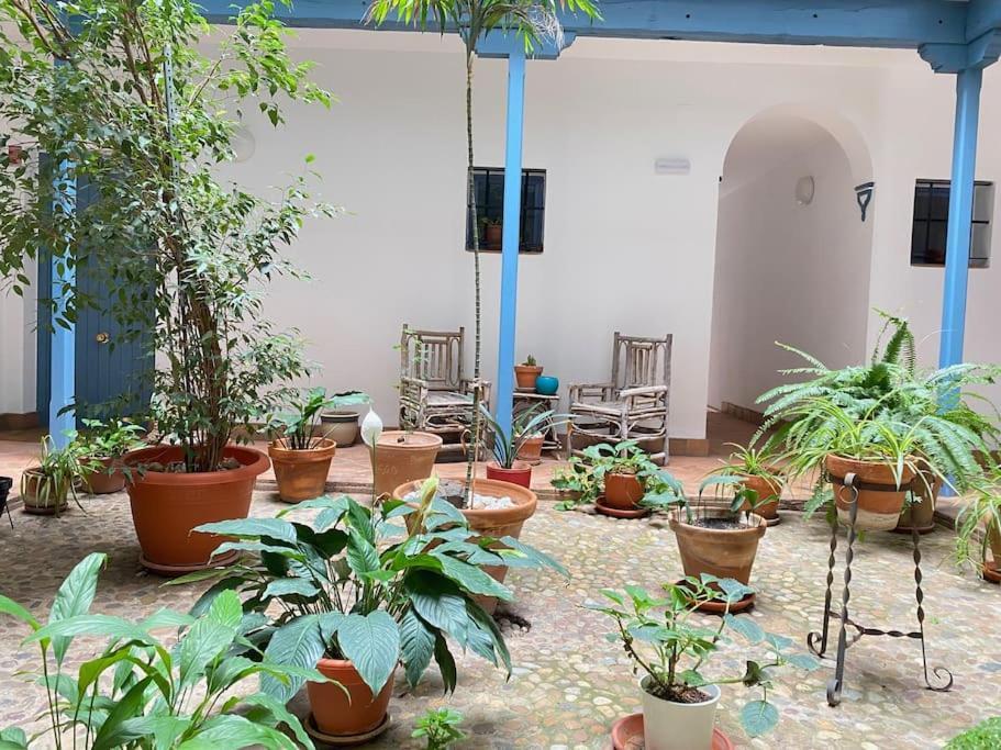 Hispalis Casa Pilatos * Seville