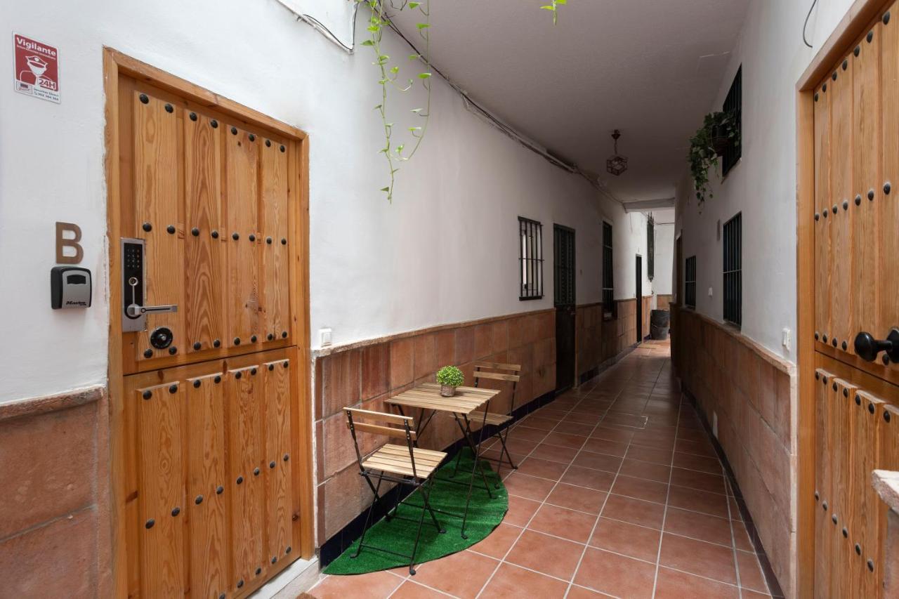 Santa Clara Urban Ii Apartment