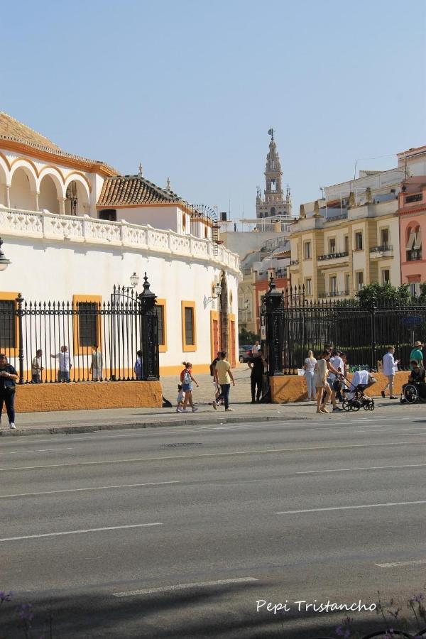 Suites Setas & Bicicletas Electricas Gratis Apartment Seville