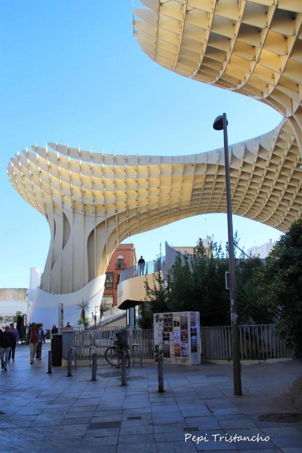 Suites Setas & Bicicletas Electricas Gratis Seville
