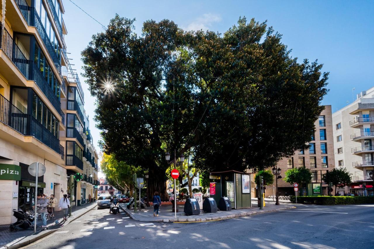 Apartment Suites Setas & Bicicletas Electricas Gratis