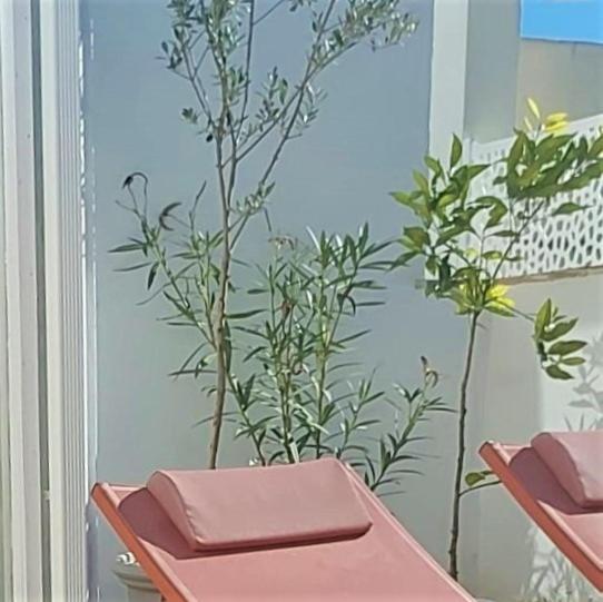 Entre Catedrales Terrace Apartment *