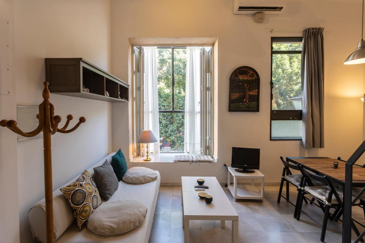 Apartment Beautiful In Center