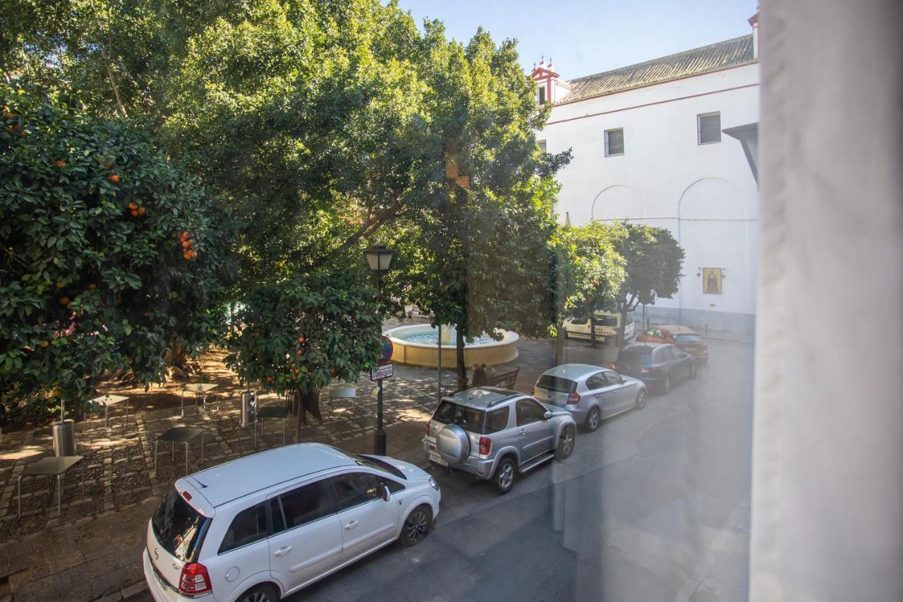 Beautiful In Center * Seville