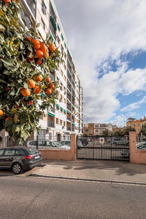 Elegante Luminoso Y Tranquilo De 2 Hab Wifi-ful Parking Inc Apartment *