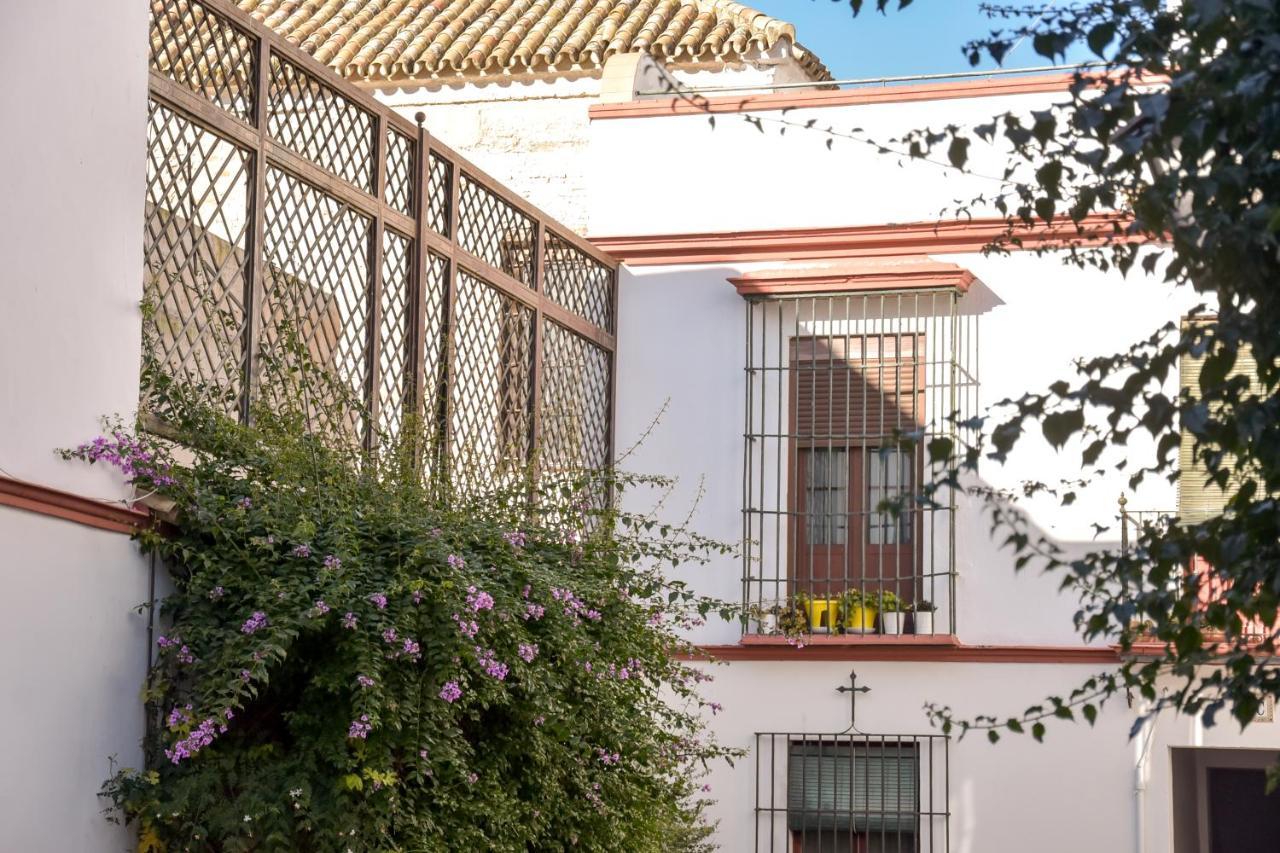 Apartment Quiet Typical Patio & Terrace *