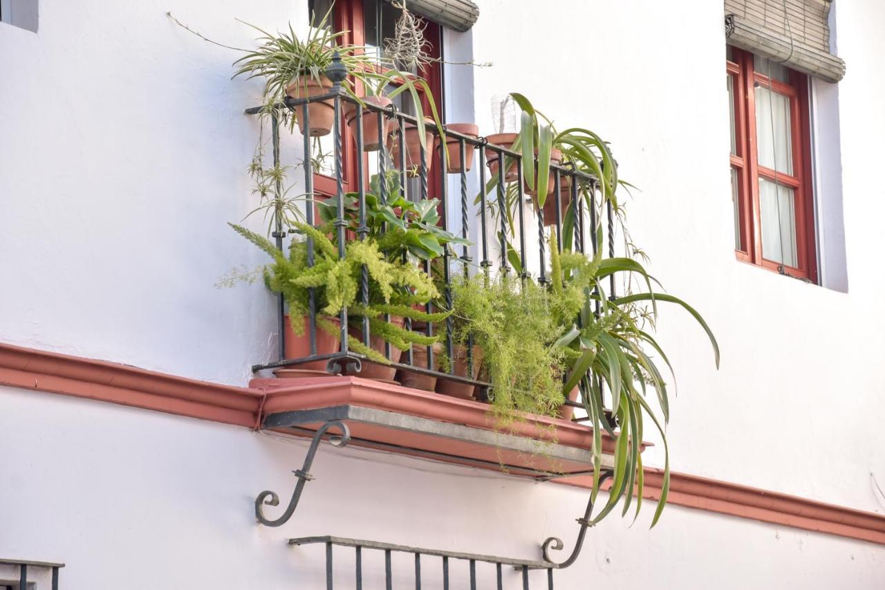 Quiet Typical Patio & Terrace *