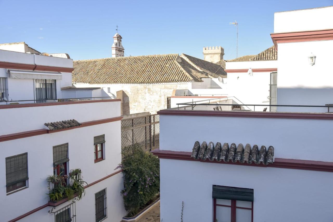 Quiet Typical Patio & Terrace Seville