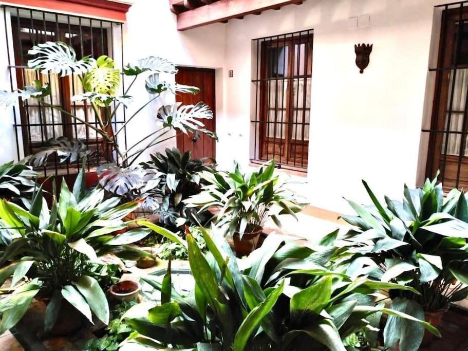 Loft & Private Rooftop With Bbq Apartamento *