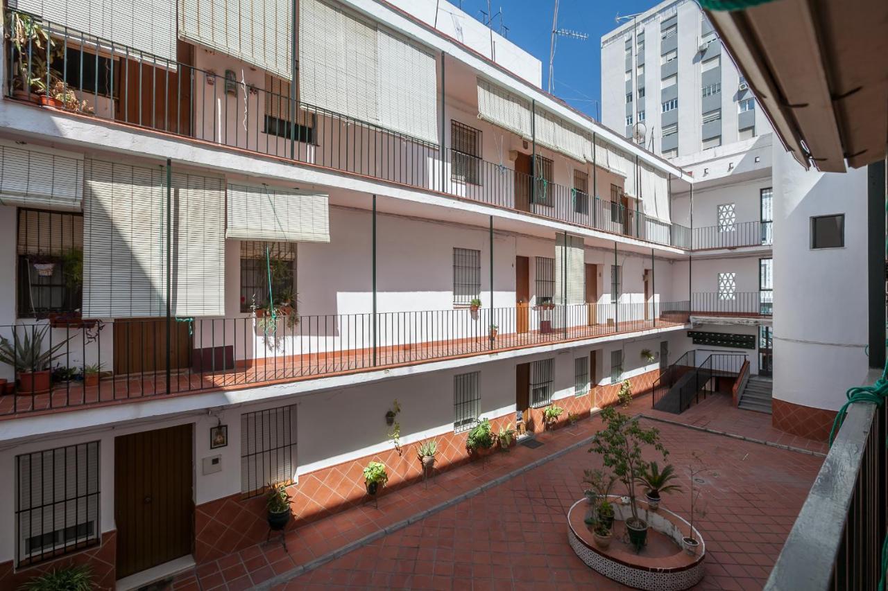 Salado * Seville