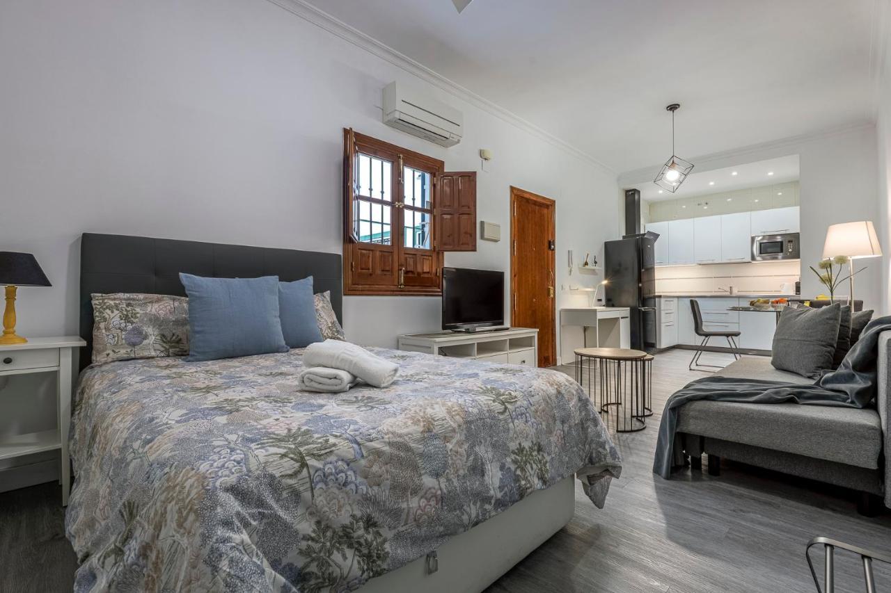 Estudio Calle Baños Sevilla