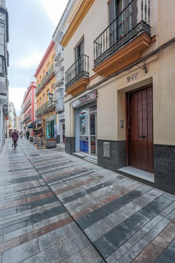 Estudio Calle Baños Sevilla