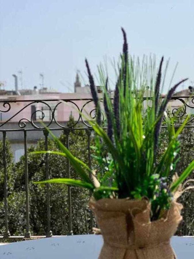 Apartment Casa Mint Triana *