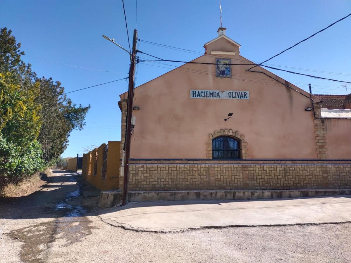 Casa Cortijo Olivar Seville