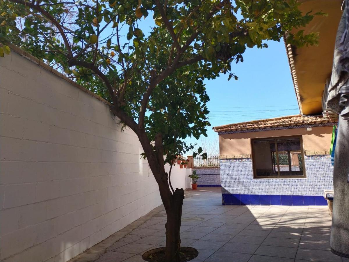 Apartment Casa Cortijo Olivar