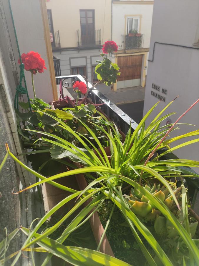 Apartamento Vive Triana
