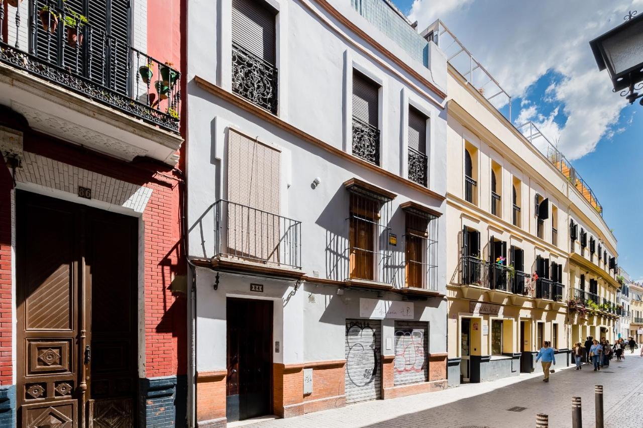 Minty - San Luis Apartment