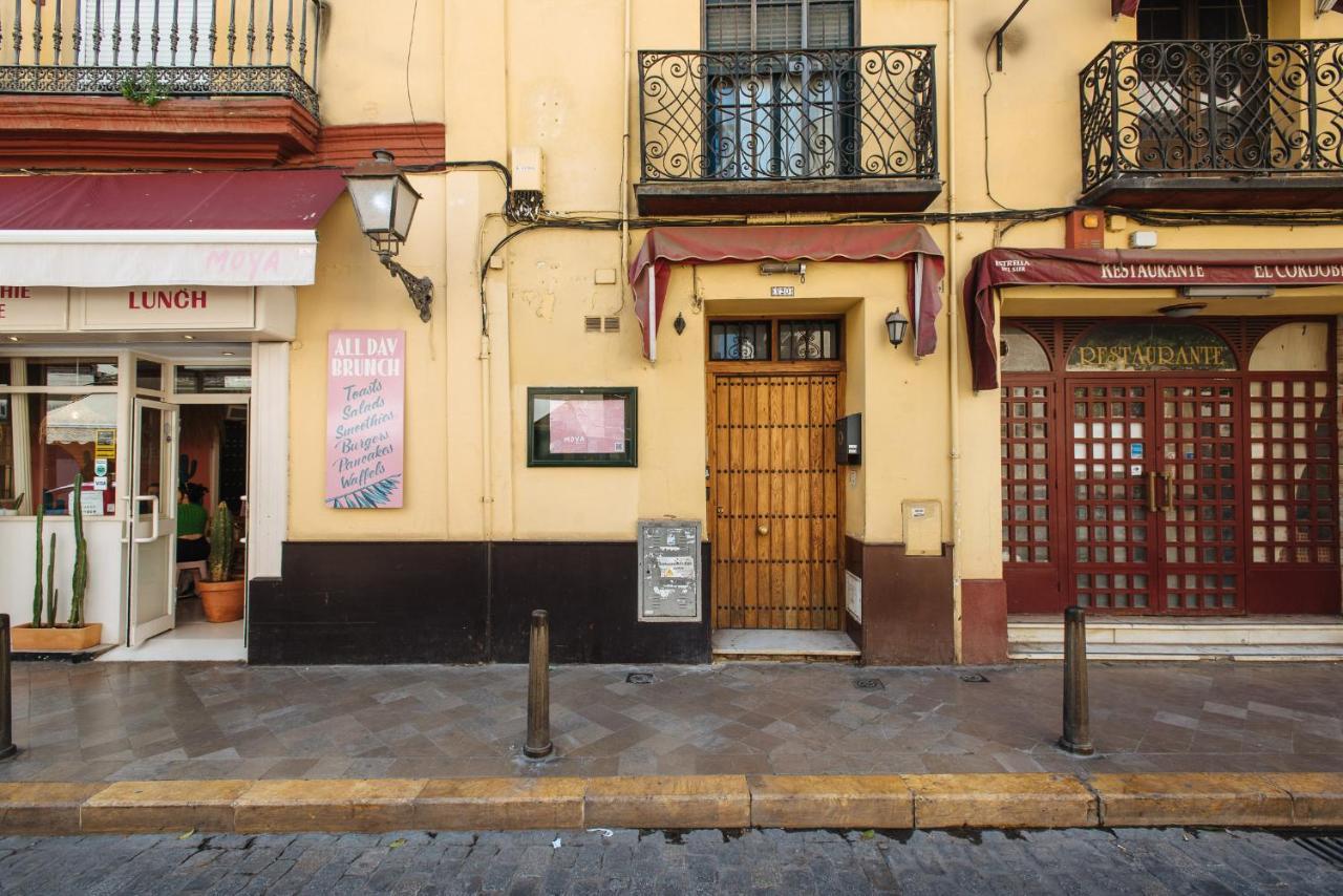 Apartment Homeyseville-lovely Duplex At Santa Cruz 10 Pax, Parking Optional Seville