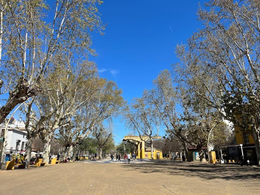 Atico Joaquin Costa 15 Alameda De Hercules Seville