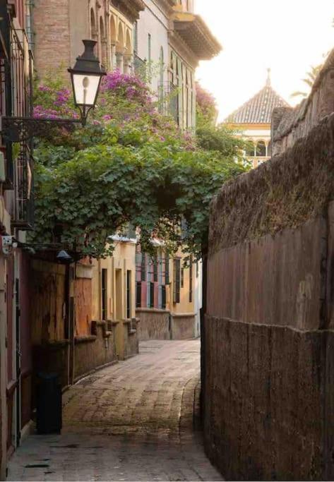 Ad10 Full House Near Cathedral By Antonia Diaz Street * Seville