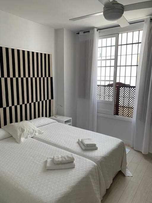 Apartamento Precioso Lugar En Barrio Sta Cruz