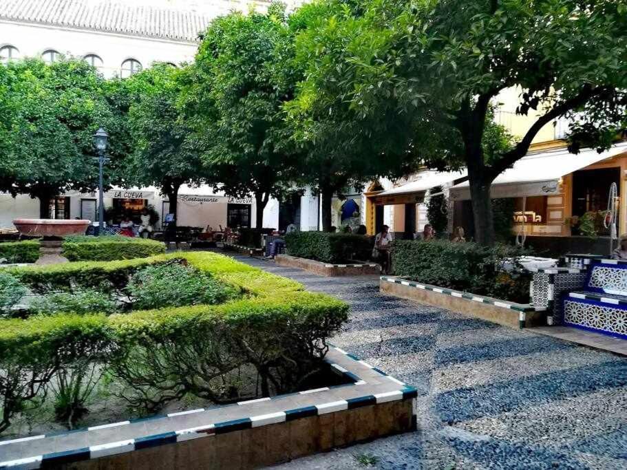 Precioso Lugar En Barrio Sta Cruz Apartamento *