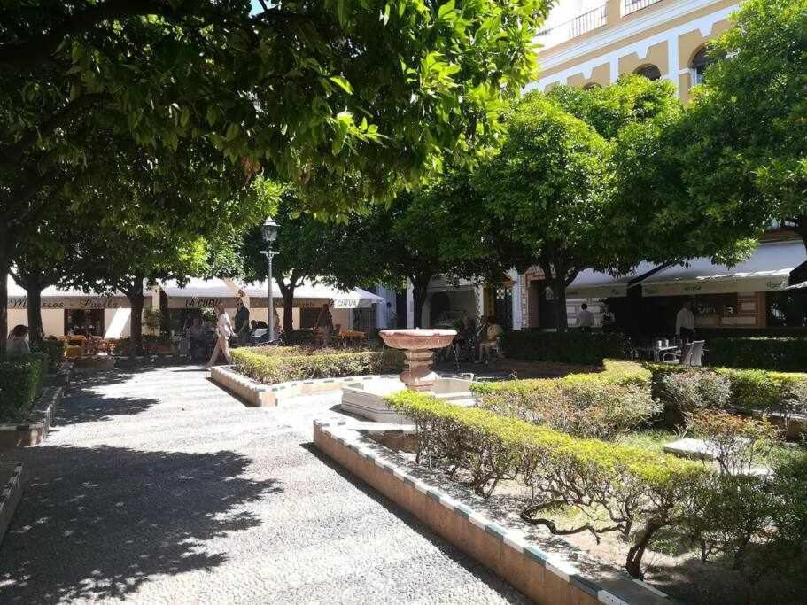 Precioso Lugar En Barrio Sta Cruz Apartamento *