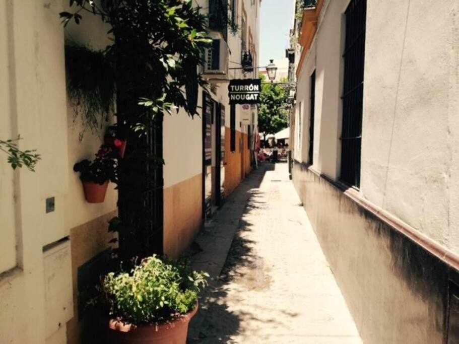 Precioso Lugar En Barrio Sta Cruz Apartamento