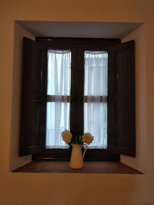 Apartamento Con Patio Sevillano *