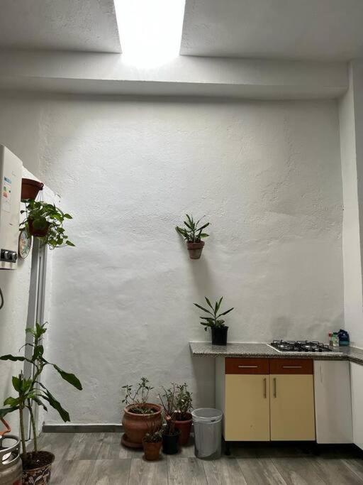 Apartamento Bajo En Casa Unifamiliar Terraza *