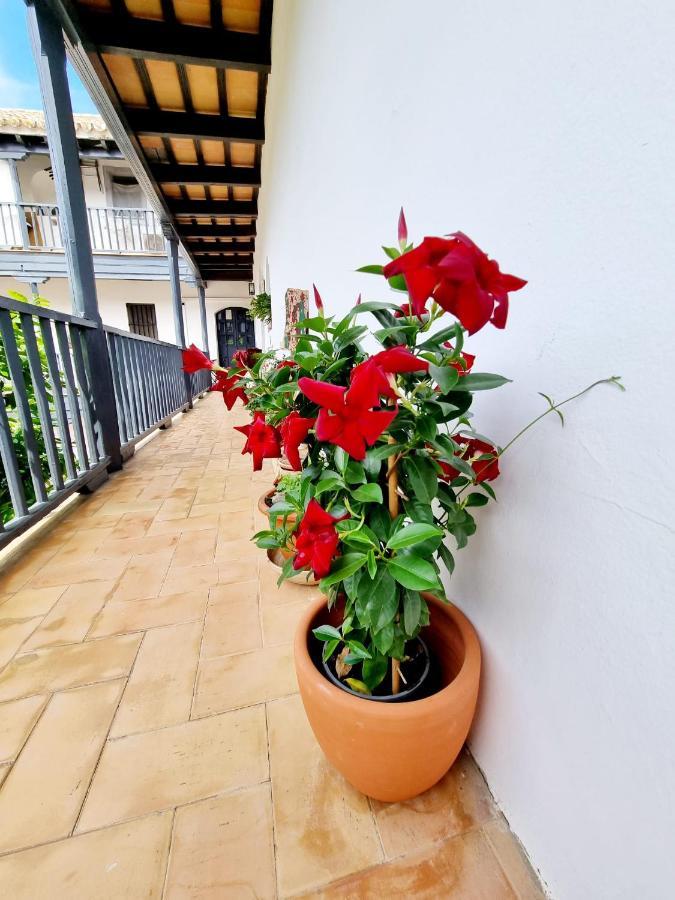 Apartamento Con Patio Sevillano Sevilla