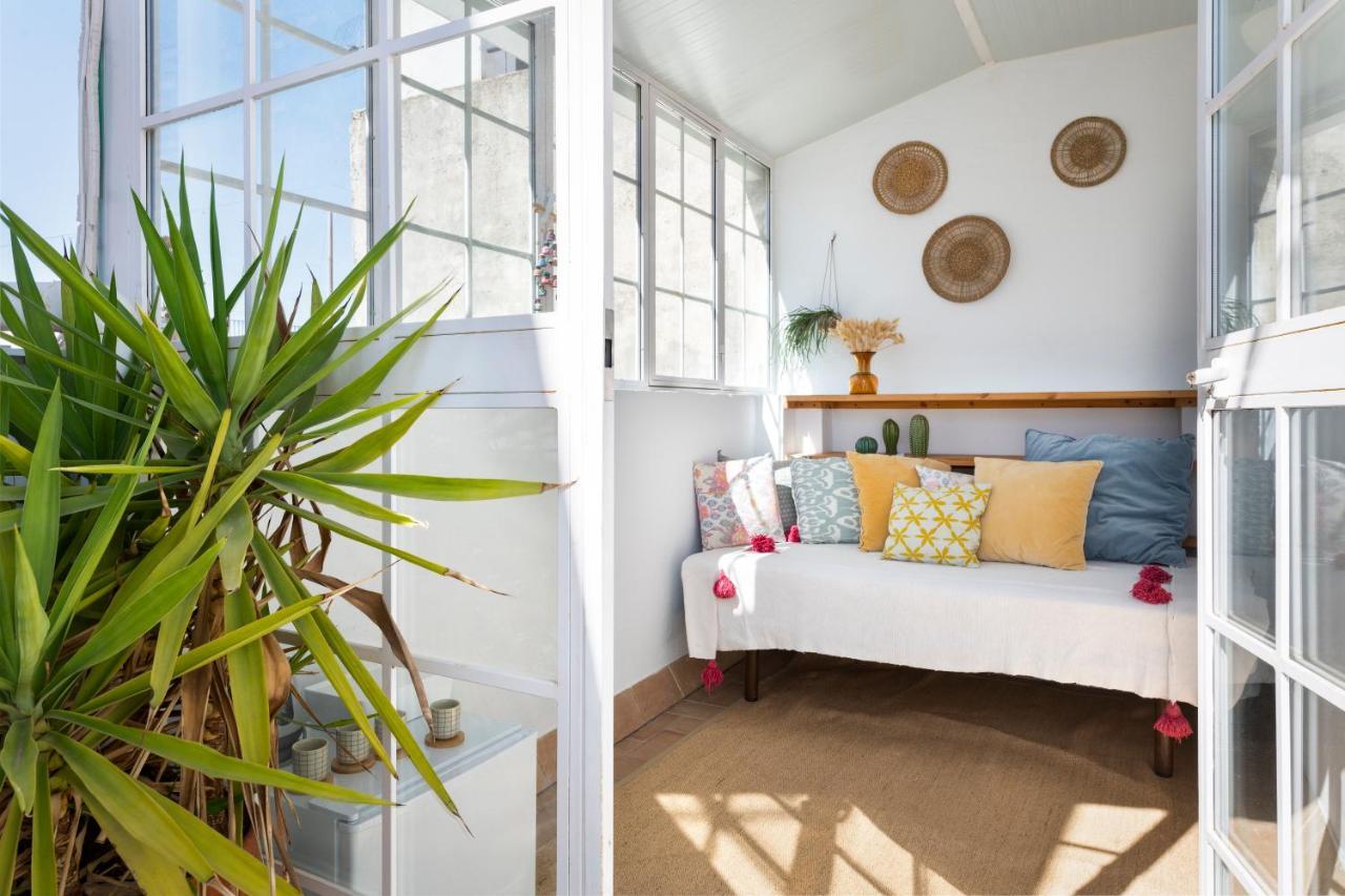 San Luis Luxury House With Terrace Holiday home