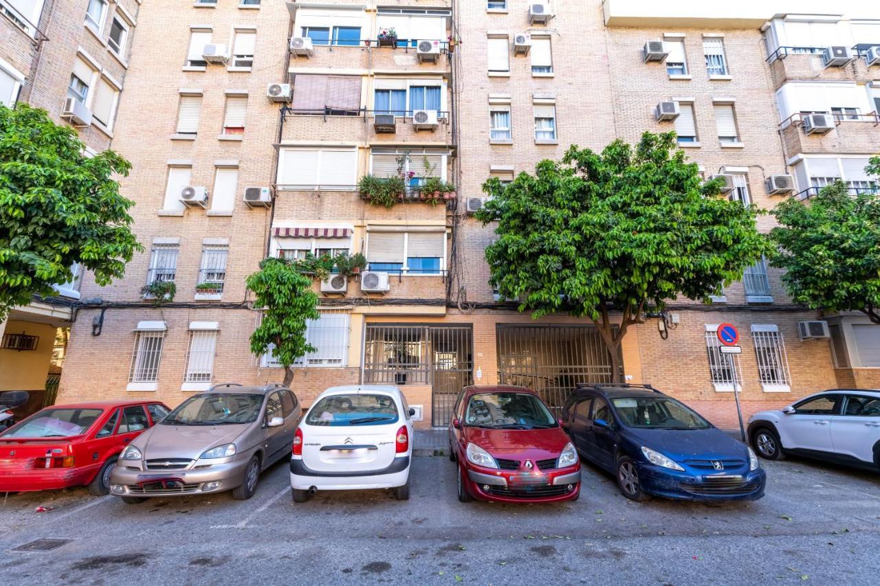 Conde Collection Santa Justa