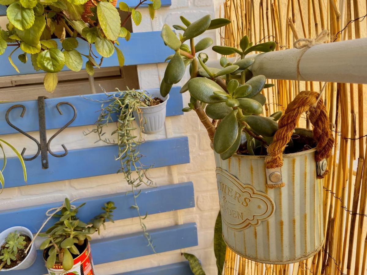 Junto Al Casco Antiguo Con Terraza Apartamento *