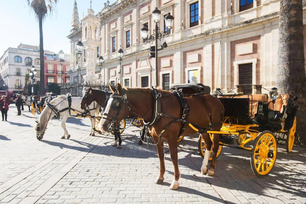 Leca, Comodo Y Silencioso * Seville