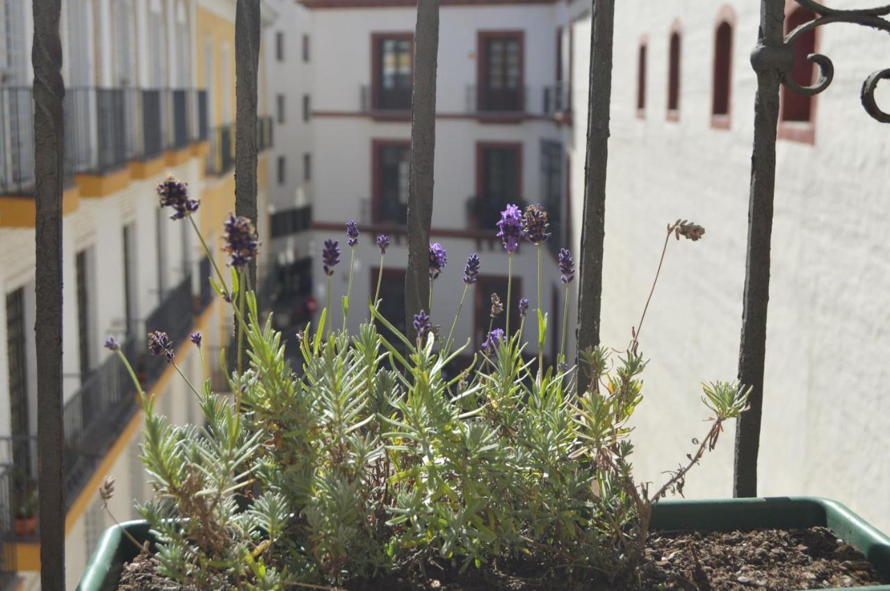 Isg Precioso Atico Con Terraza Privada En El Centro- Free Parking