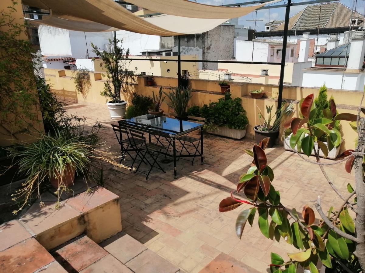 Apartment Tourist House Trajano Terraza-piscina *